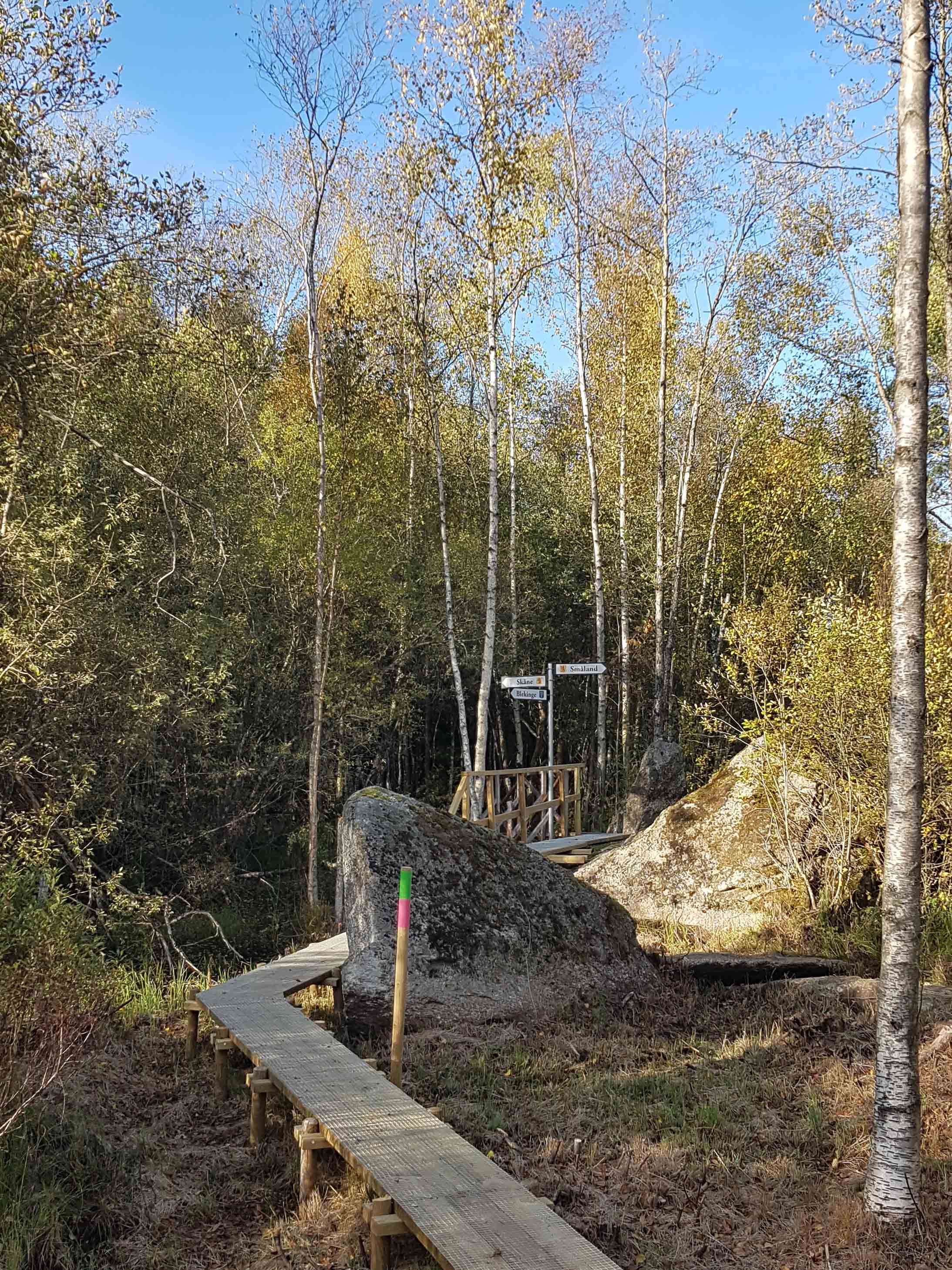 grytsjon